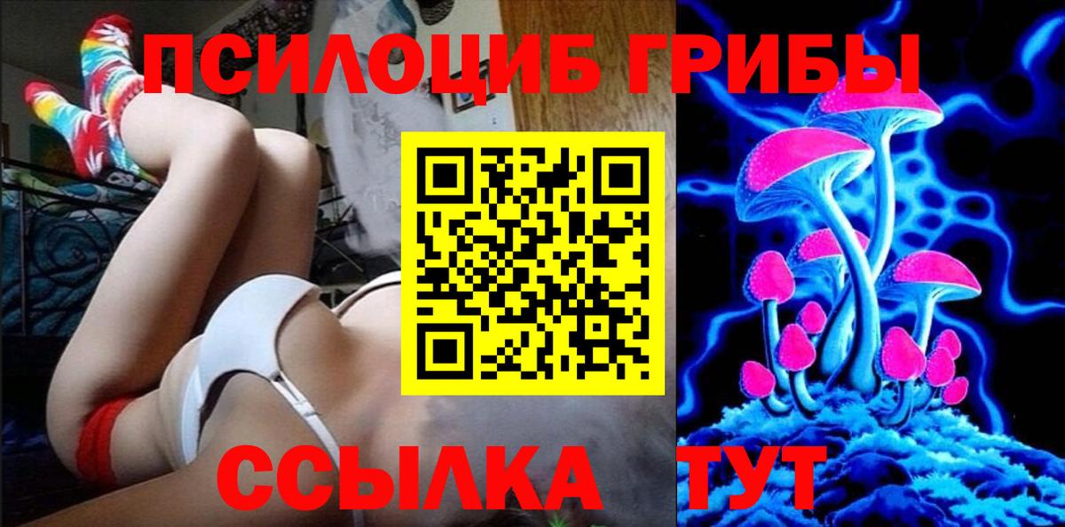 Комсомольск-на-Амуре  Галлюциногенные грибы Cubensis  Вход с VPN 