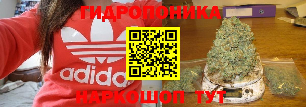 Конопля Amnesia  Вход с VPN  Конопля тримм  Комсомольск-на-Амуре  Канабис Bruce Banner 